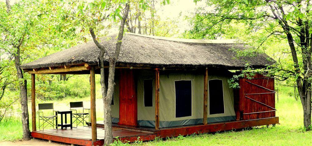 Shindzela Tented Camp Reserva Timbavati Exterior foto