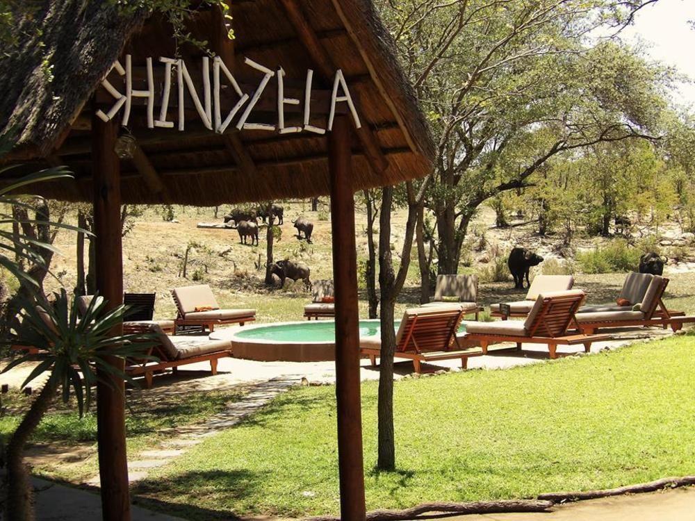 Shindzela Tented Camp Reserva Timbavati Exterior foto