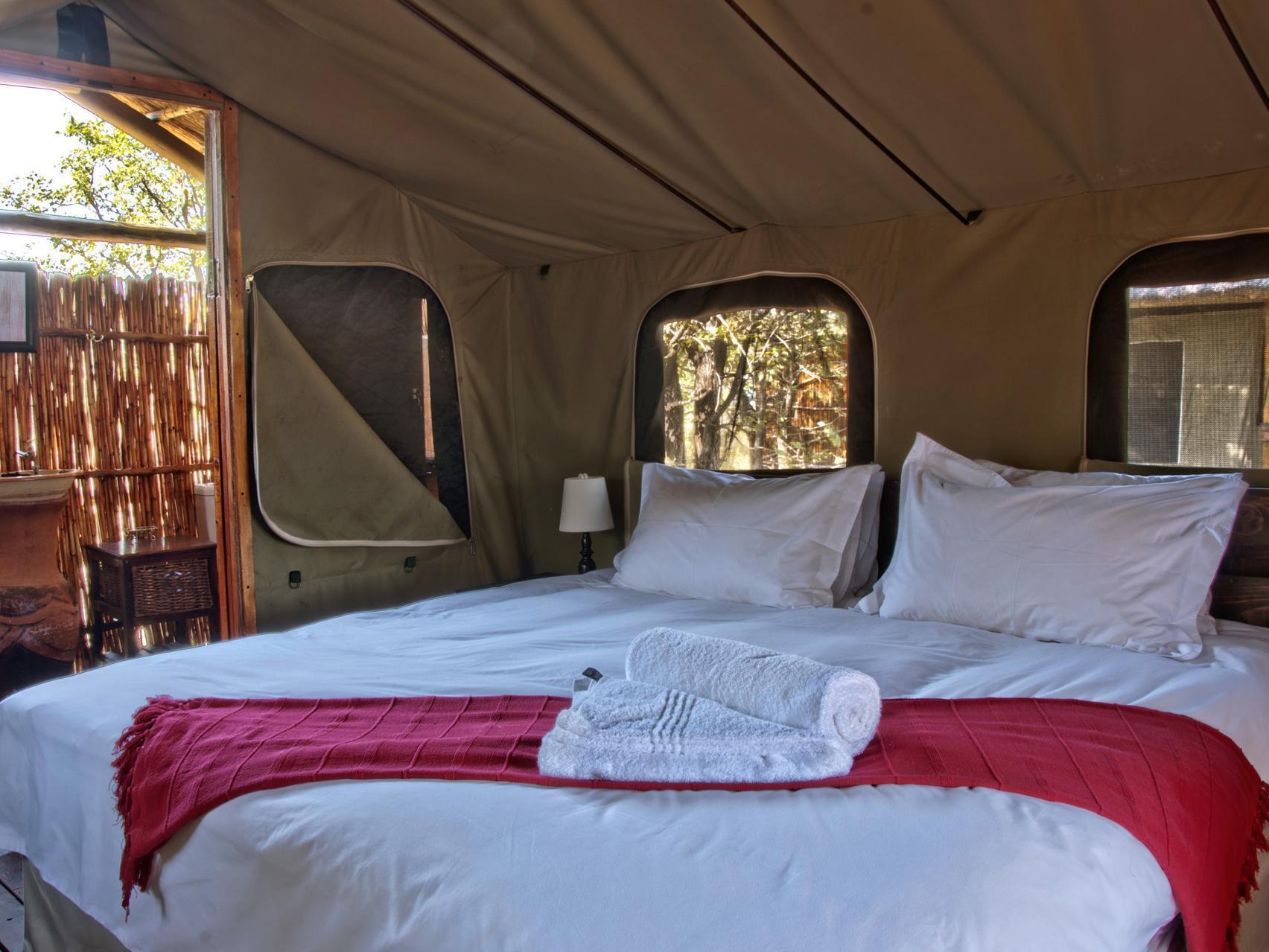 Shindzela Tented Camp Reserva Timbavati Exterior foto