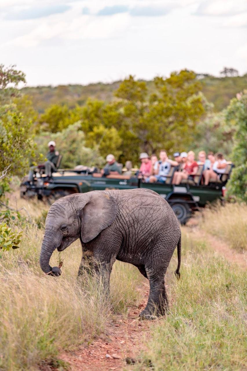 Shindzela Tented Camp Reserva Timbavati Exterior foto