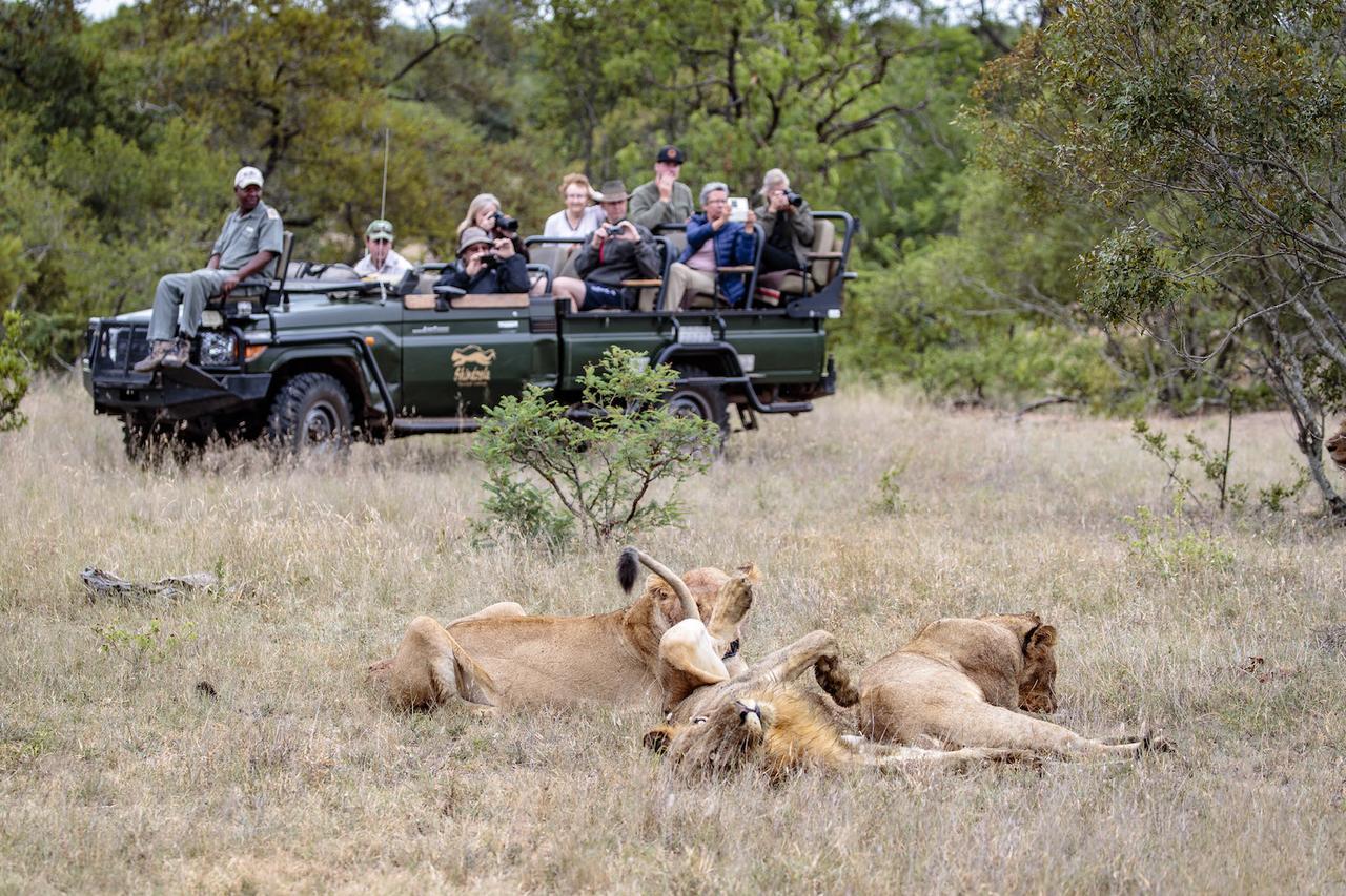 Shindzela Tented Camp Reserva Timbavati Exterior foto