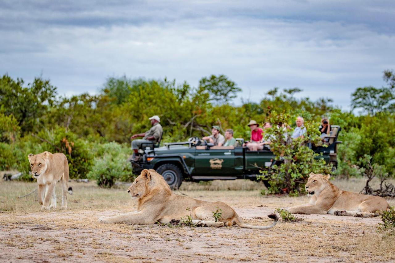 Shindzela Tented Camp Reserva Timbavati Exterior foto