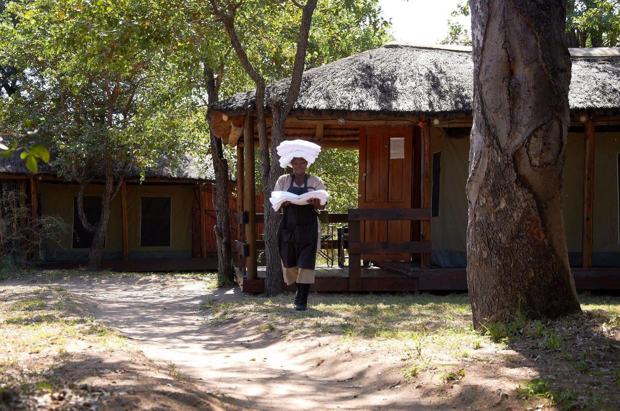 Shindzela Tented Camp Reserva Timbavati Exterior foto