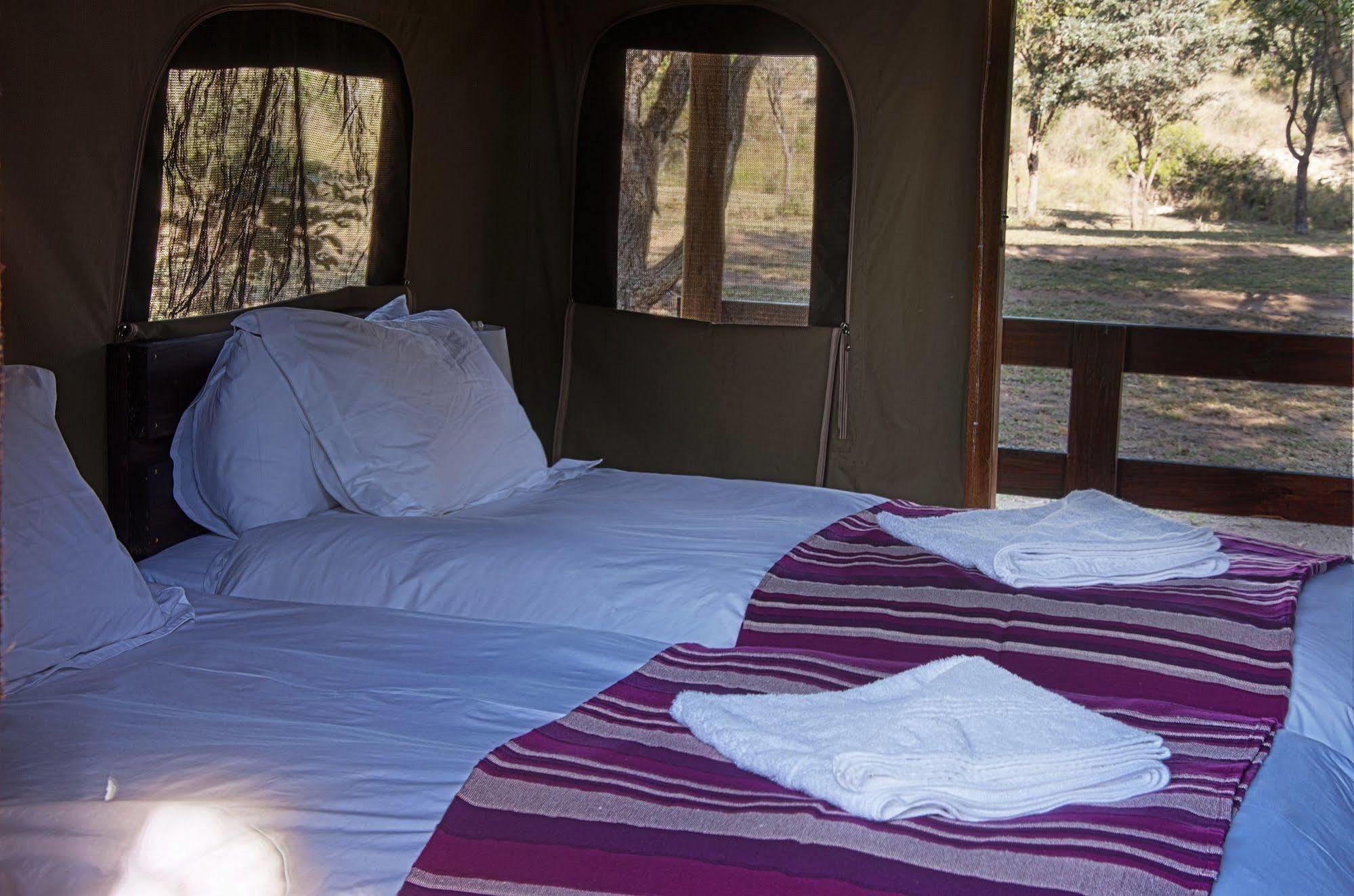 Shindzela Tented Camp Reserva Timbavati Exterior foto
