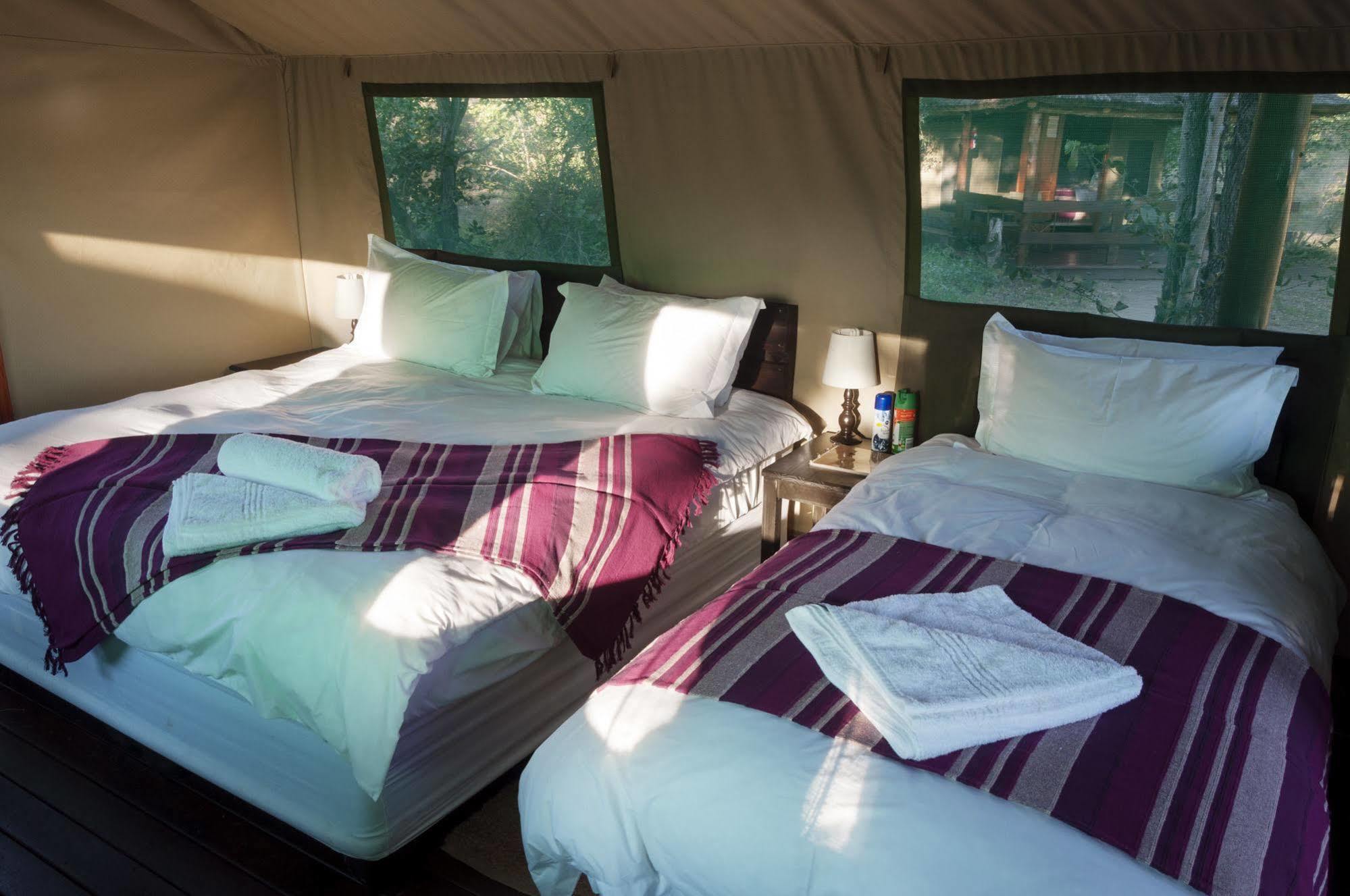 Shindzela Tented Camp Reserva Timbavati Exterior foto
