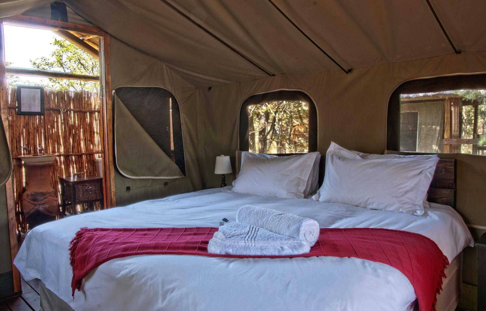 Shindzela Tented Camp Reserva Timbavati Exterior foto