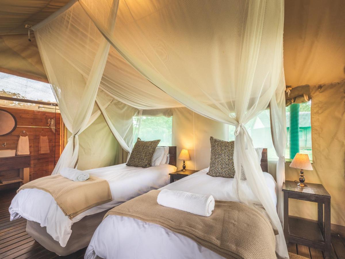 Shindzela Tented Camp Reserva Timbavati Exterior foto