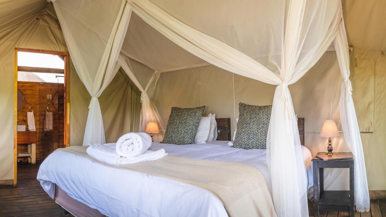 Shindzela Tented Camp Reserva Timbavati Exterior foto