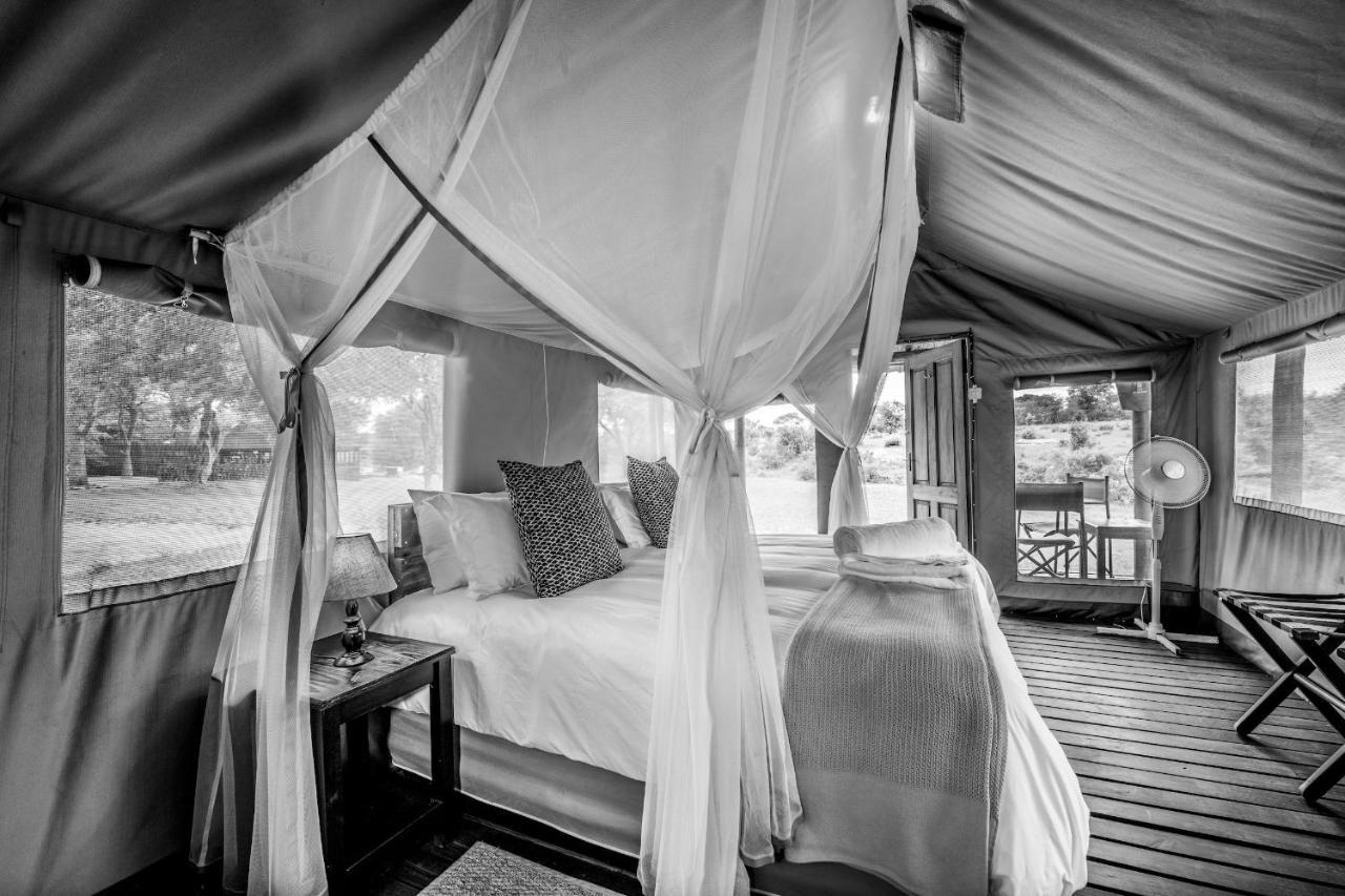 Shindzela Tented Camp Reserva Timbavati Exterior foto