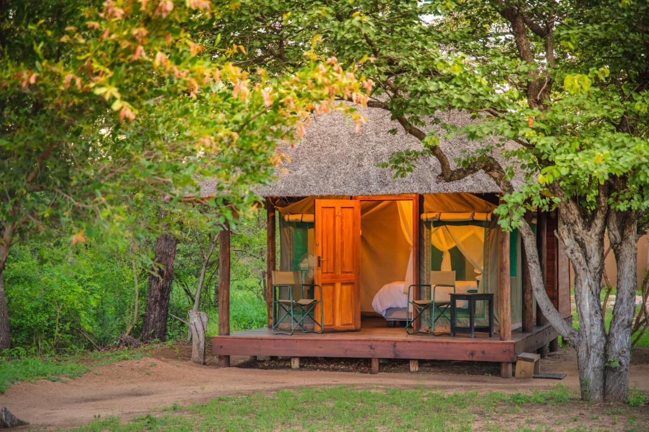 Shindzela Tented Camp Reserva Timbavati Exterior foto