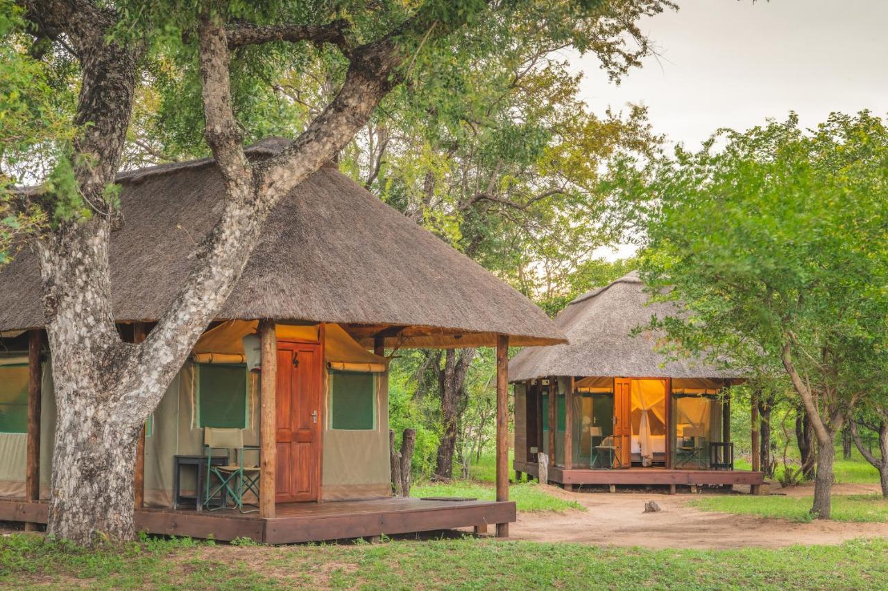 Shindzela Tented Camp Reserva Timbavati Exterior foto