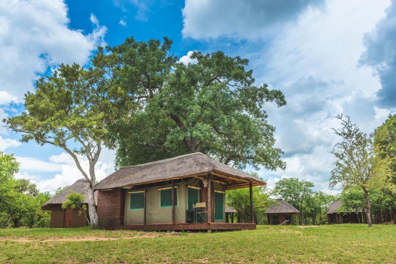 Shindzela Tented Camp Reserva Timbavati Exterior foto